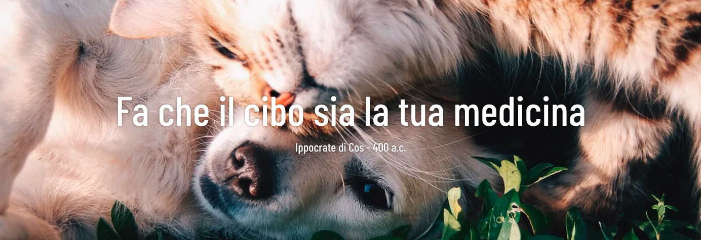 Fai che il cibo è la tua meedicina