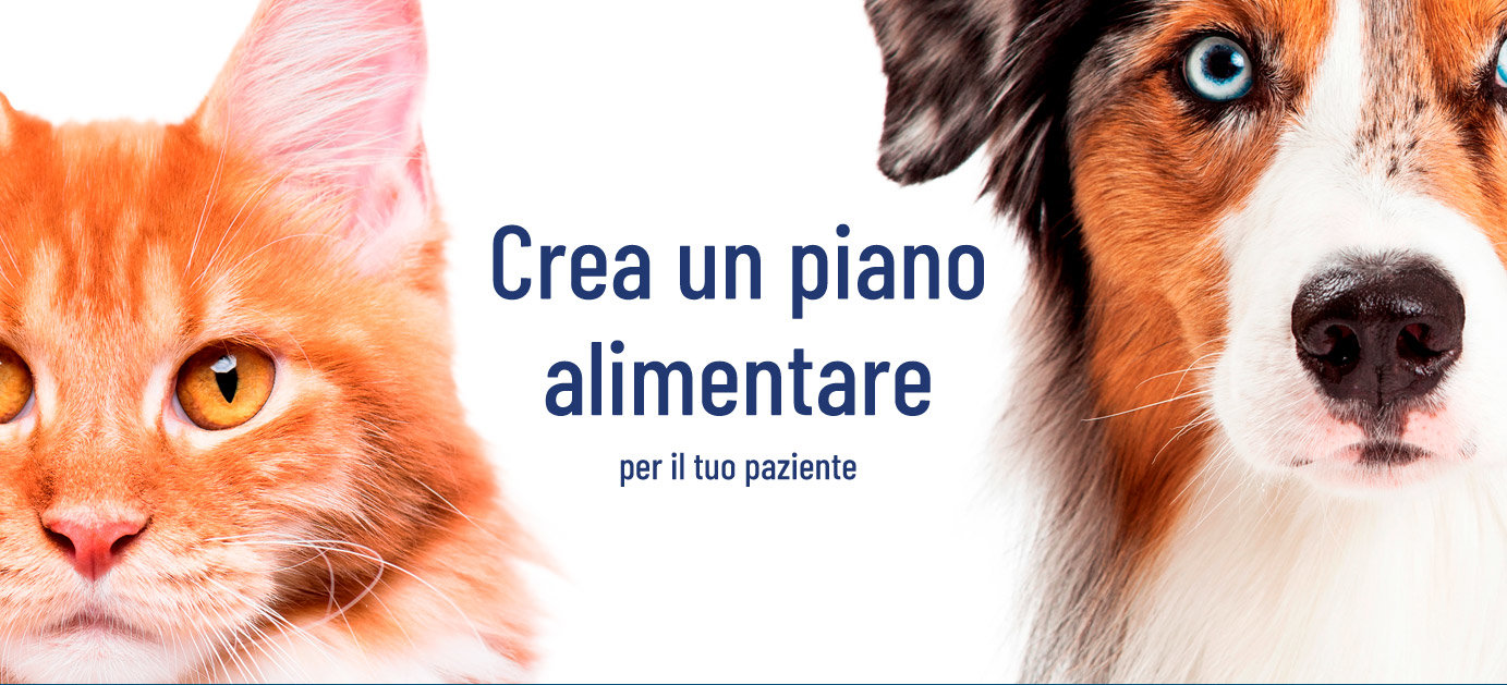 Crea un piano alimentare per il tuo paziente